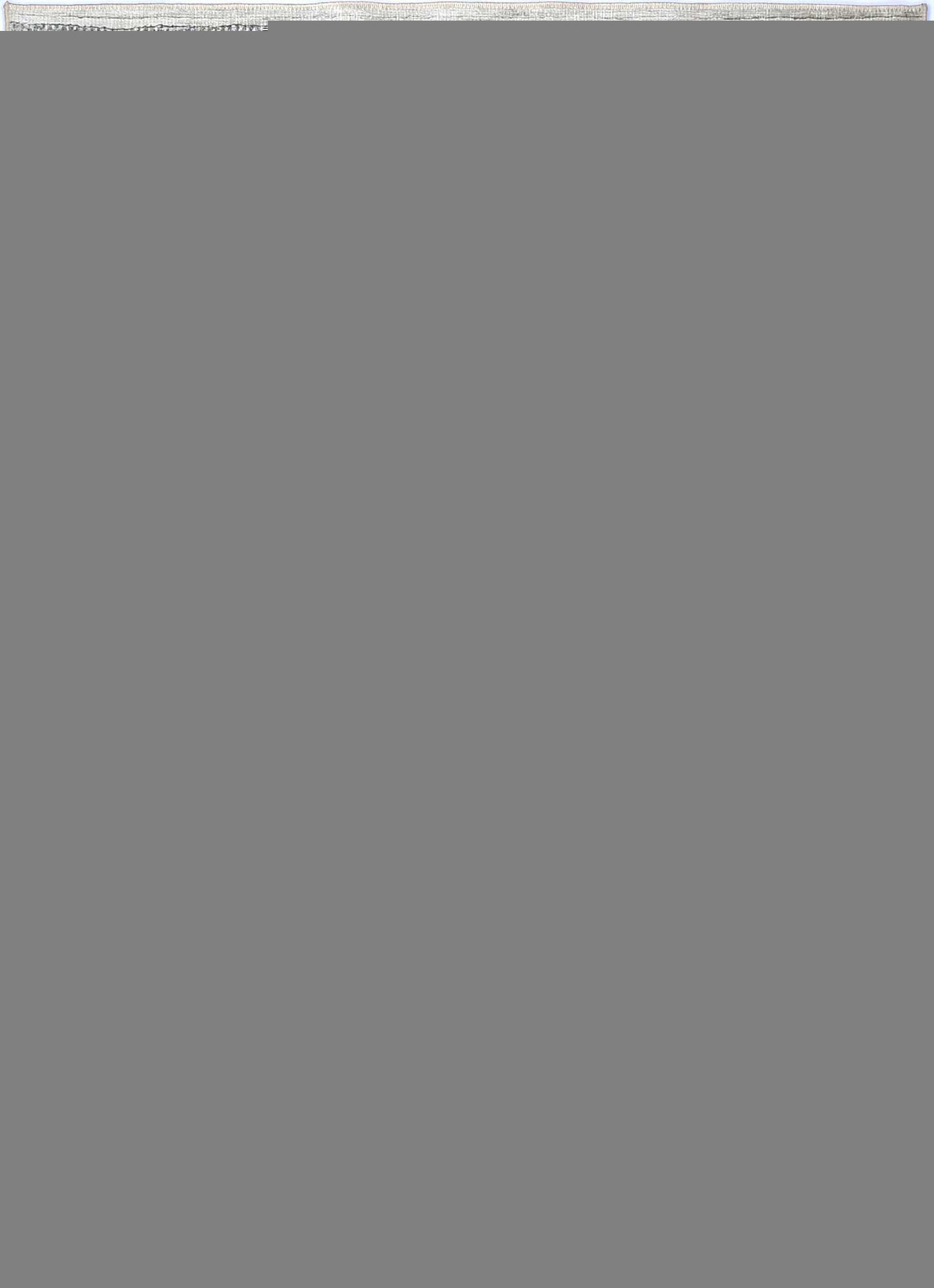 Kalahari Shadows Ash Rug - VITAL 1093-01