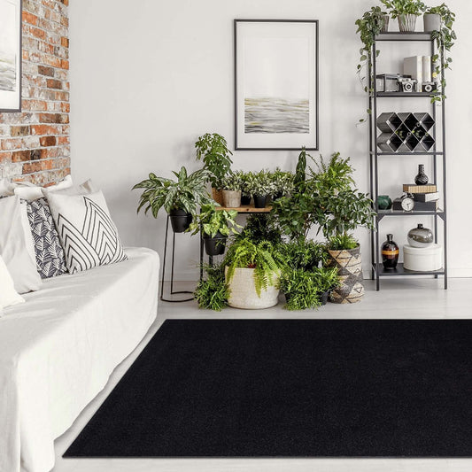 Europa Black Rug