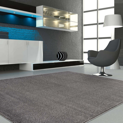 Europa Grey Rug