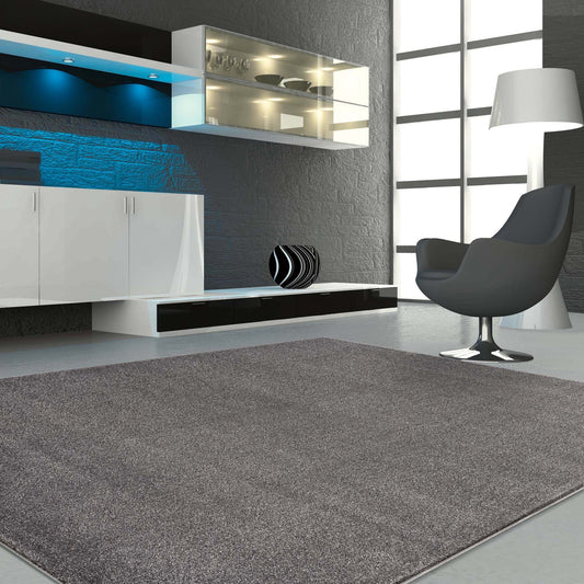 Europa Grey Rug