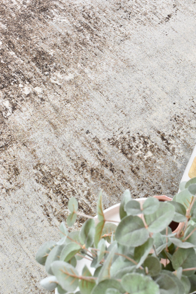 Contemporary Cove Meliora