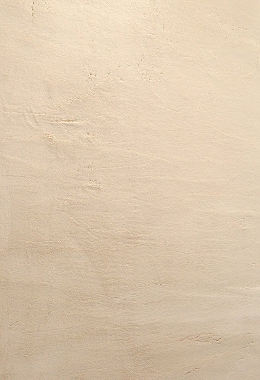 Faux Fur Rice Beige Rug