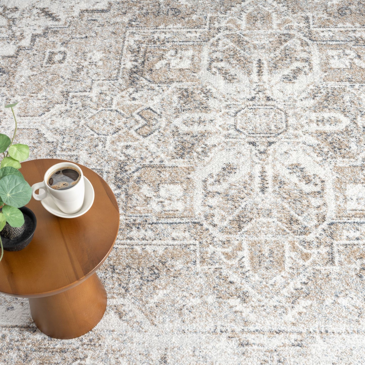 Easy Earth Rug
